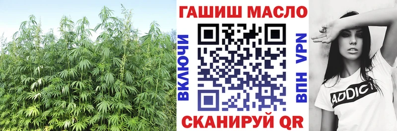 как найти   Приморск  ТГК концентрат 