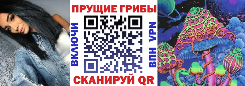 Псилоцибиновые грибы GOLDEN TEACHER  omg как войти  Приморск  наркота 
